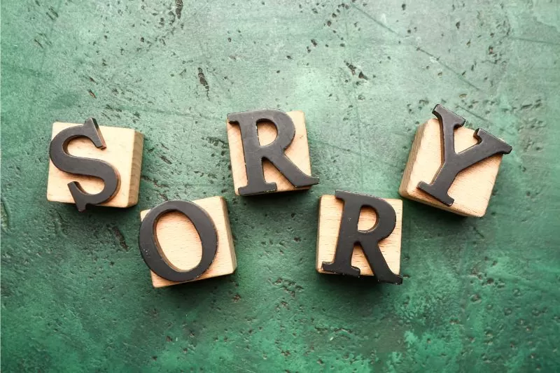 Cách xin lỗi và bù đắp hiệu quả với nửa kia